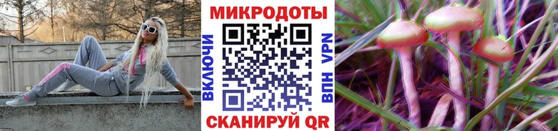 Псилоцибиновые грибы Psilocybine cubensis  это как зайти  Сальск 